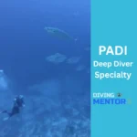 PADI Deep Diver Specialty course in Hurghada by Diving Mentor showcasing a diver exploring deep Red Sea waters with pelagic fish
