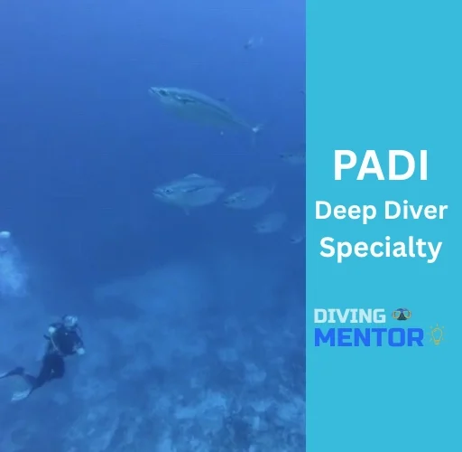 PADI Deep Diver Specialty course in Hurghada by Diving Mentor showcasing a diver exploring deep Red Sea waters with pelagic fish