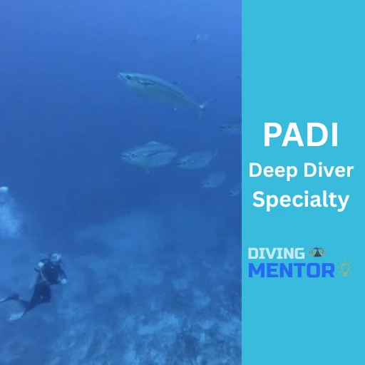 PADI Deep Diver Specialty course in Hurghada by Diving Mentor showcasing a diver exploring deep Red Sea waters with pelagic fish
