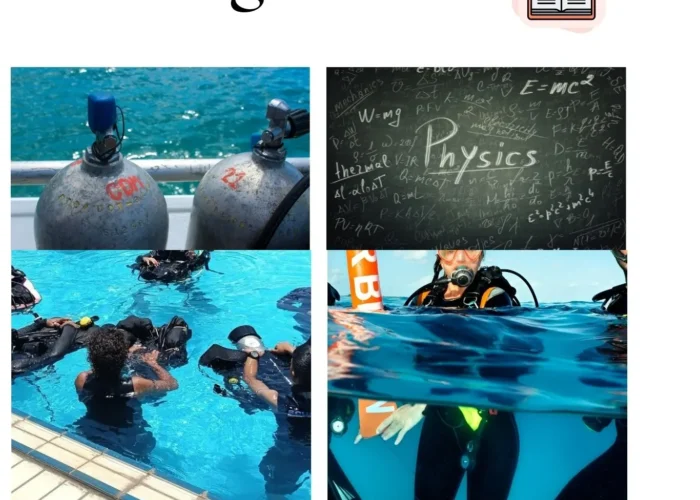 diving-mentor-youtube-channel-padi-physics-education-hurghada "Diving Mentor educational guide to PADI physics and dive theory featuring YouTube video tutorials. Visualizing gas laws, buoyancy skills, and Red Sea diving education in Hurghada for pro-level scuba students."
