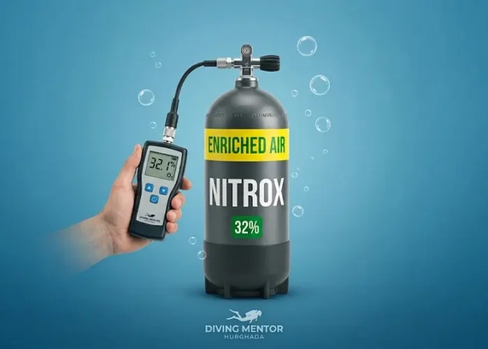 PADI Enriched Air Nitrox Course in Hurghada - Diving Mentor